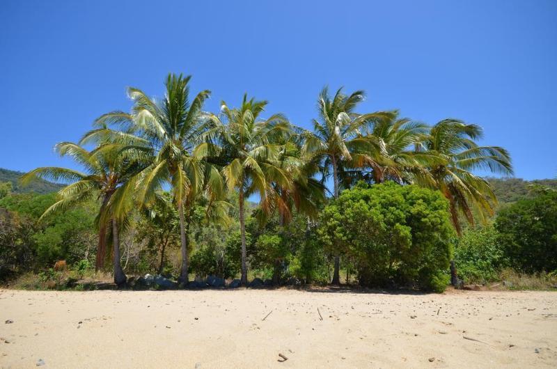 Le Cher Du Monde Adults Only Port Douglas Exterior foto